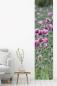Preview: Flächenvorhang Mohnzauber in violett t, Schiebevorhang, Schiebegardine, modern, 60 cm breit, 2,65 m hoc